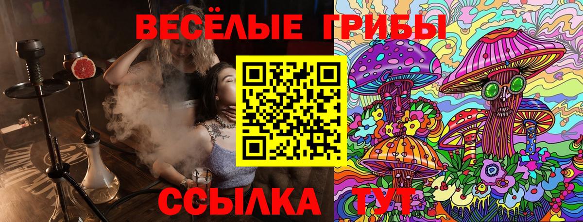 Псилоцибиновые грибы прущие грибы  Галлюциногенные грибы ЛСД  Выборг  Вход с VPN 